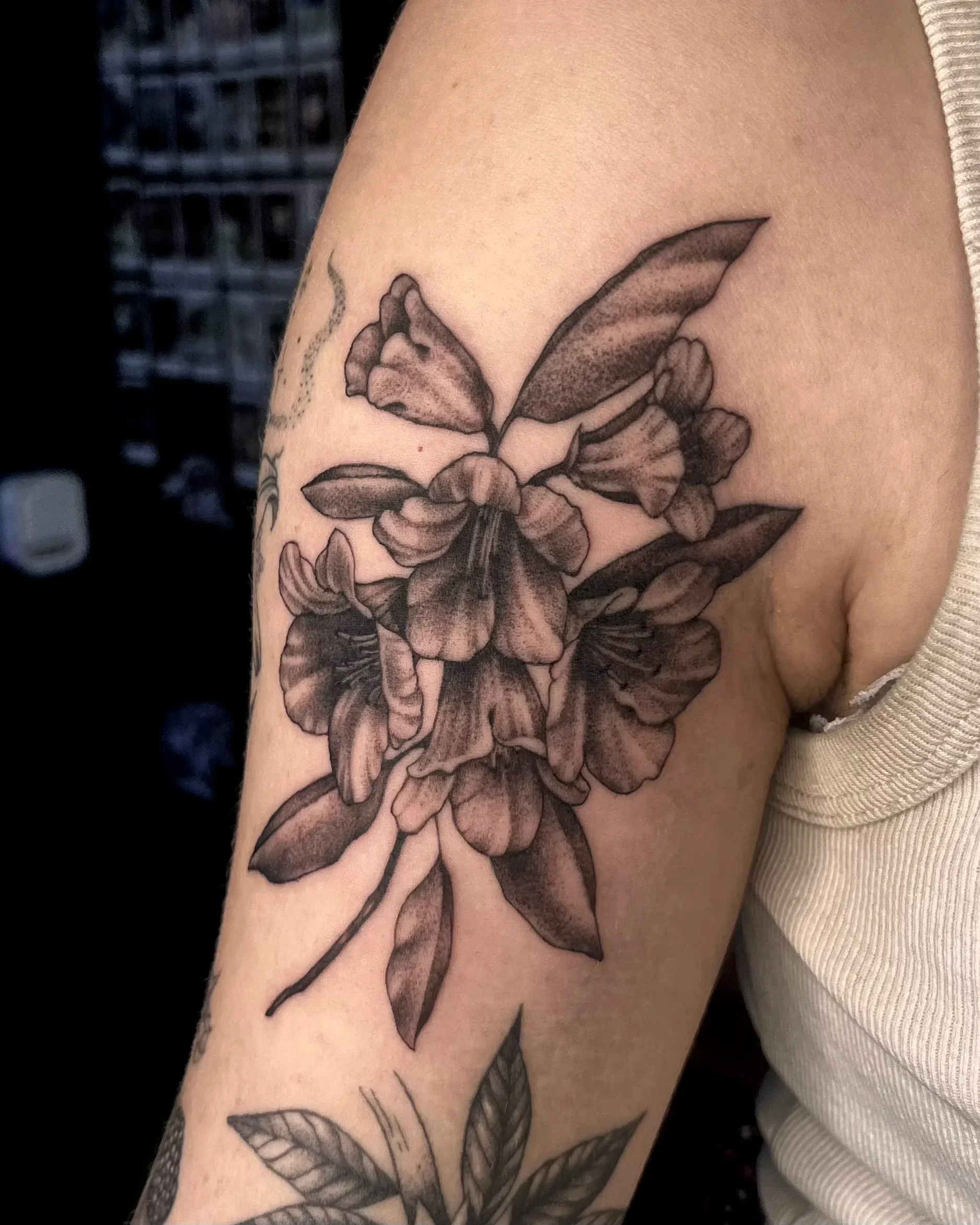 Tattoo 02, artwork by Ruby Smythe