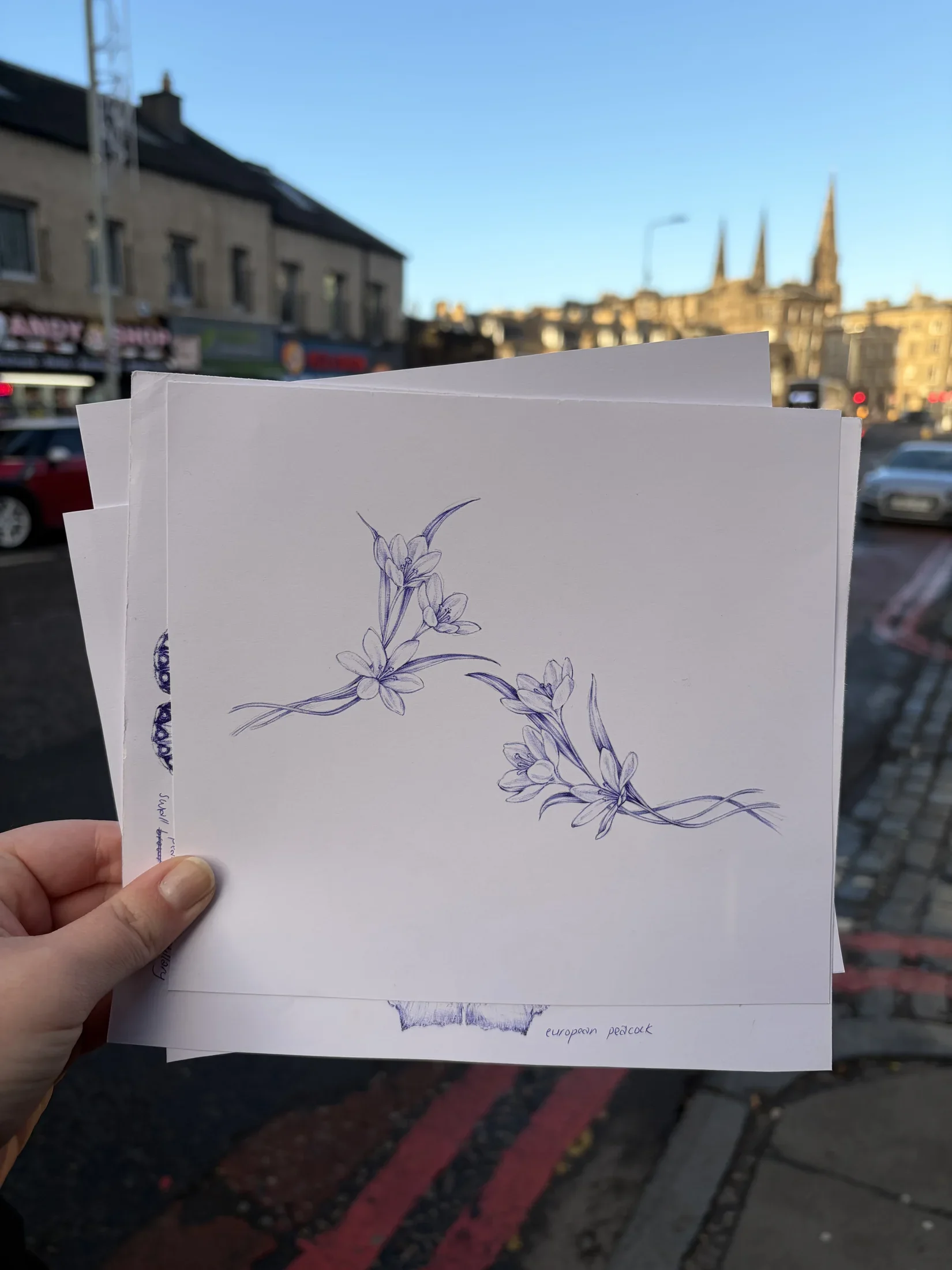 Drawing 06, artwork by Ruby Smythe