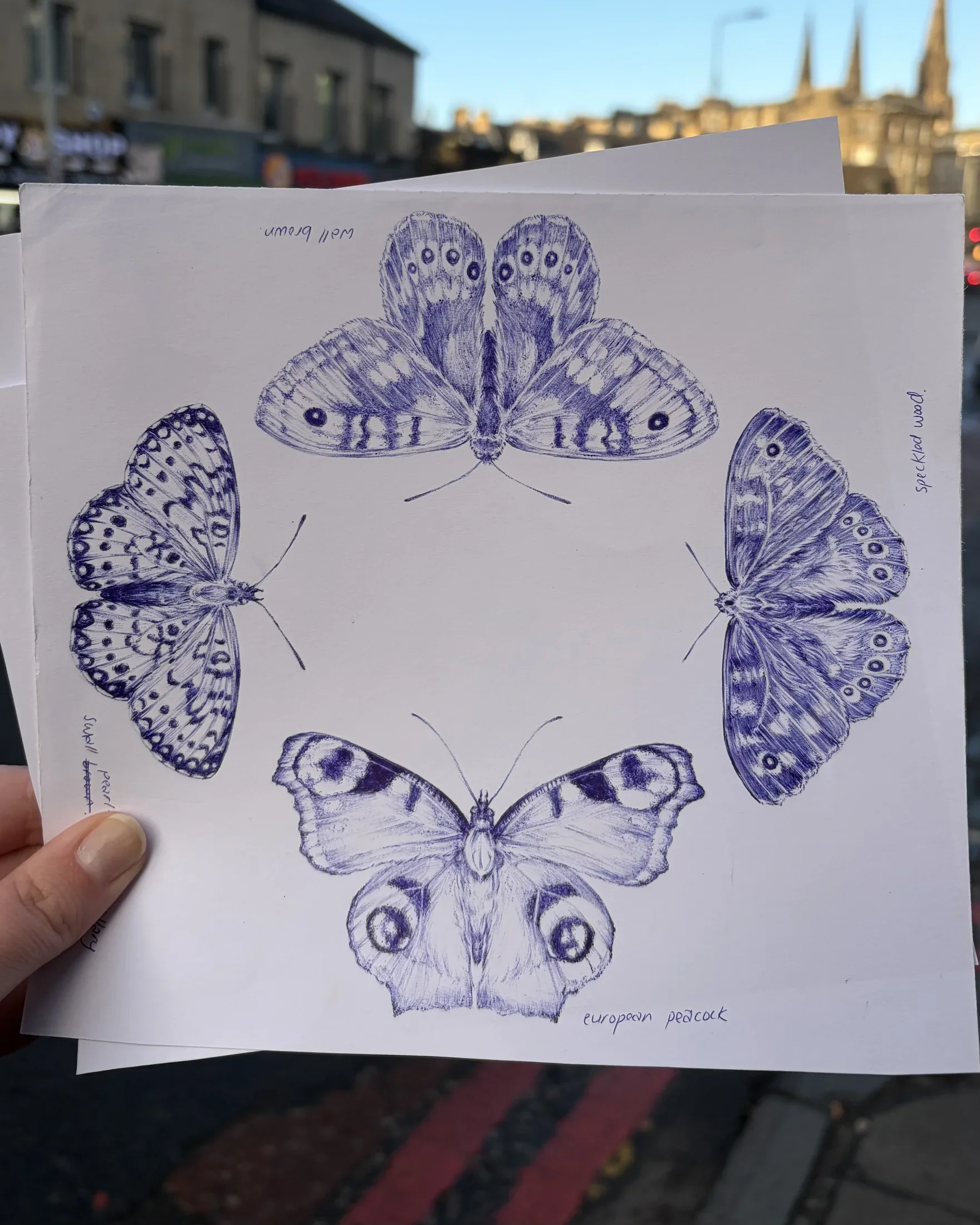 Drawing 07, artwork by Ruby Smythe