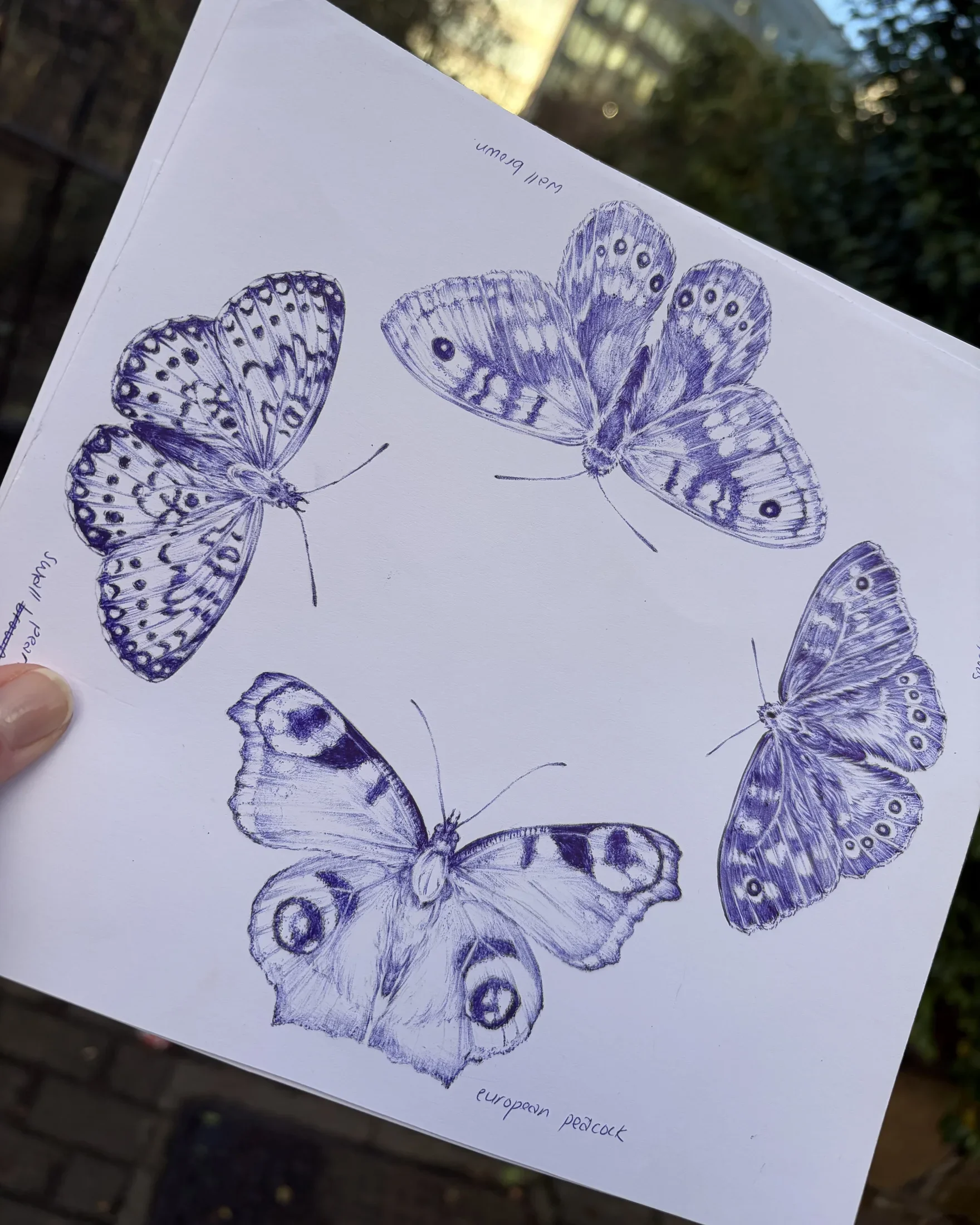 Drawing 09, artwork by Ruby Smythe