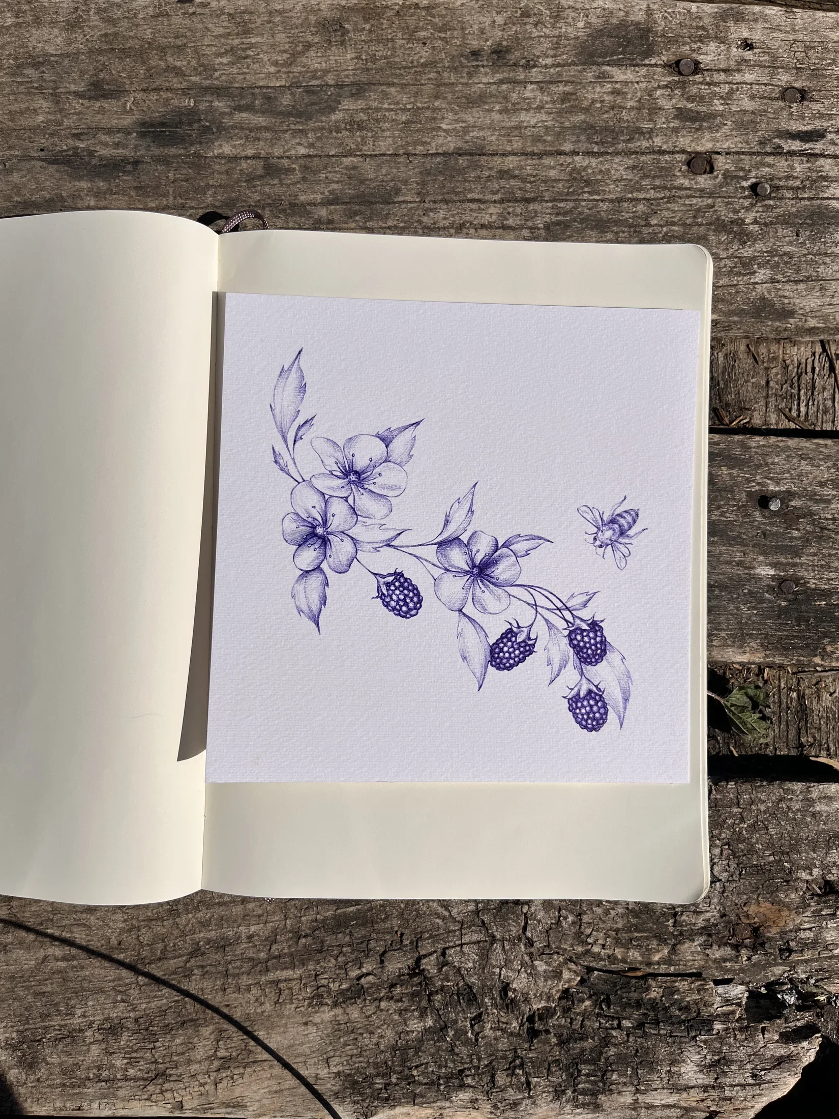 Drawing 11, artwork by Ruby Smythe