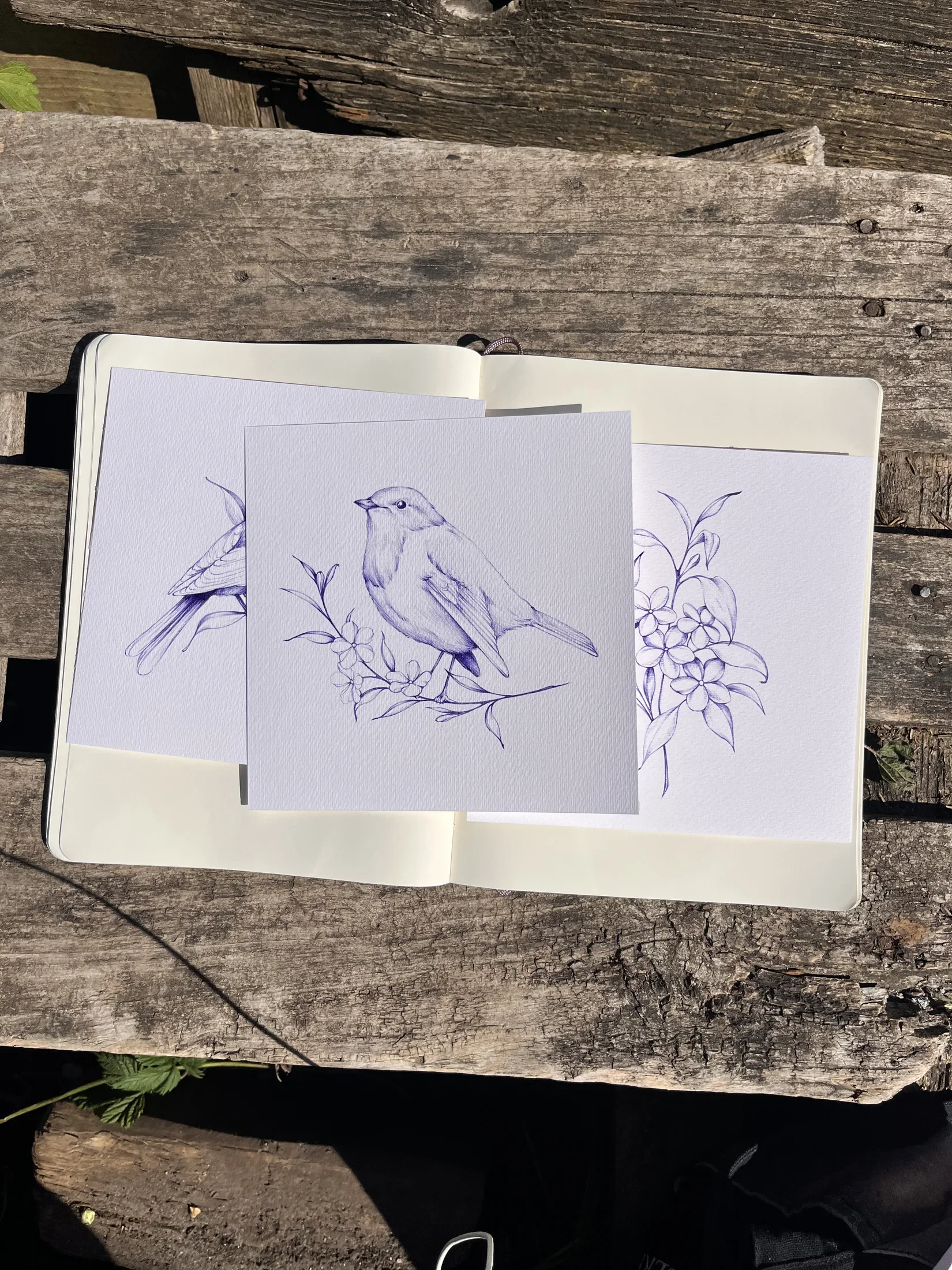 Drawing 12, artwork by Ruby Smythe