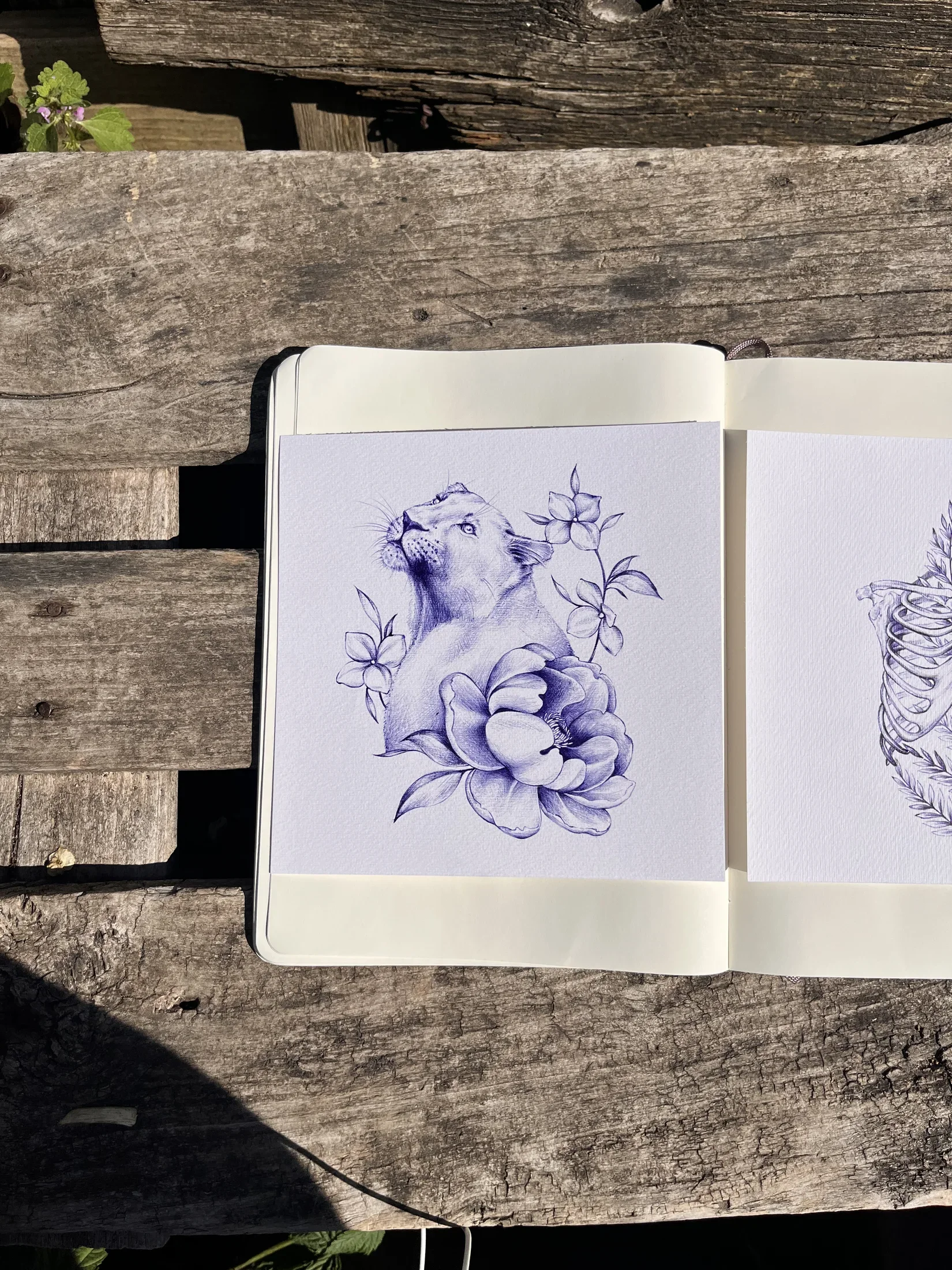 Drawing 14, artwork by Ruby Smythe