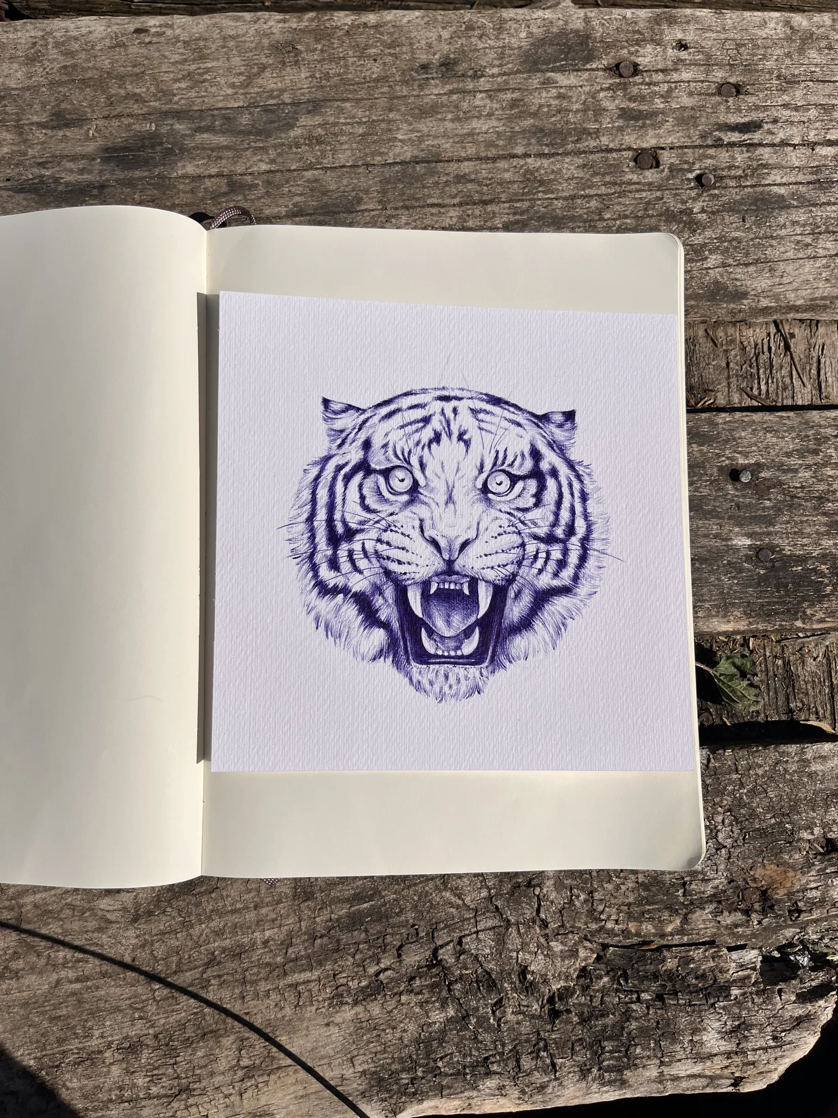 Drawing 15, artwork by Ruby Smythe