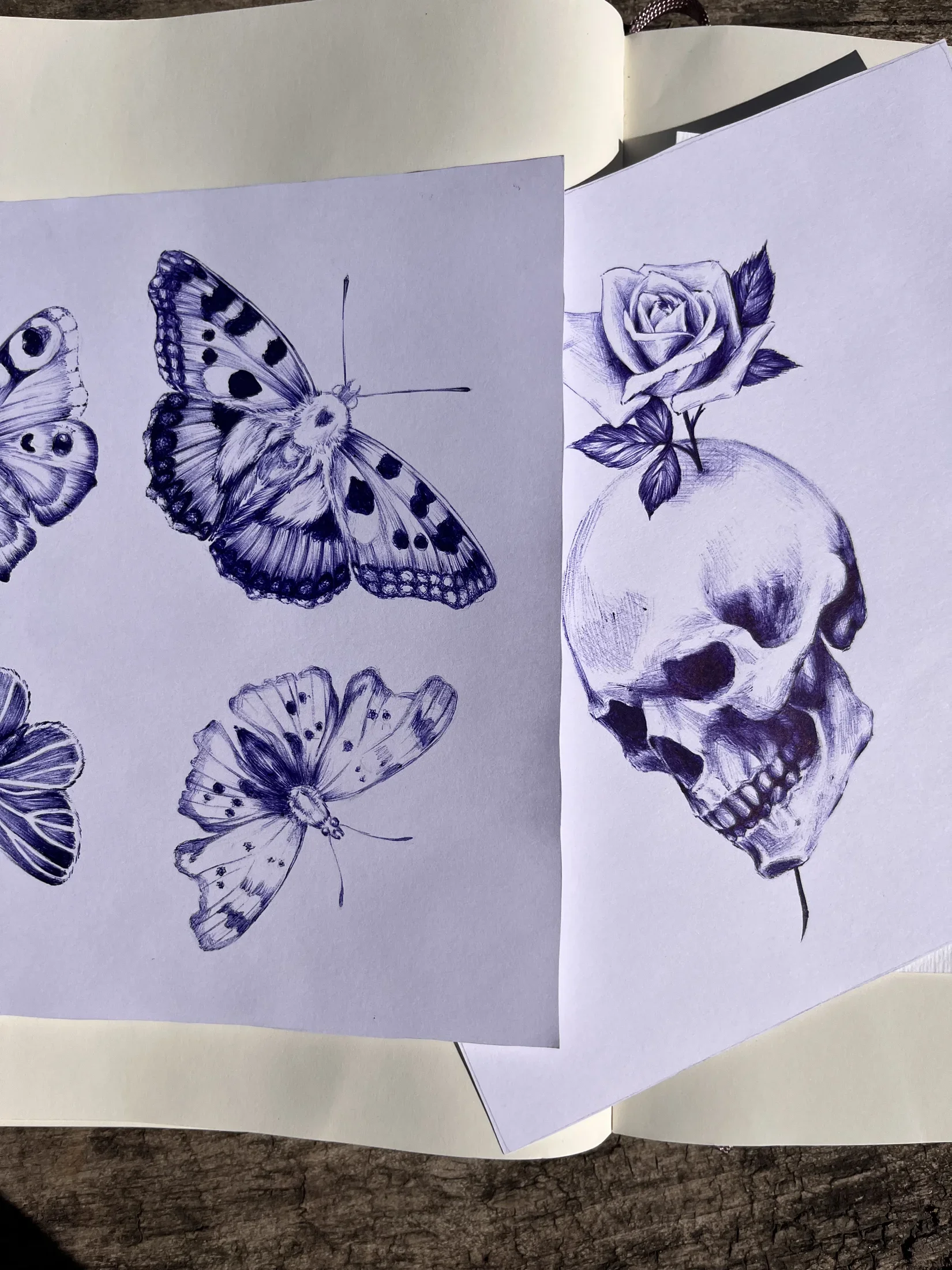 Drawing 16, artwork by Ruby Smythe