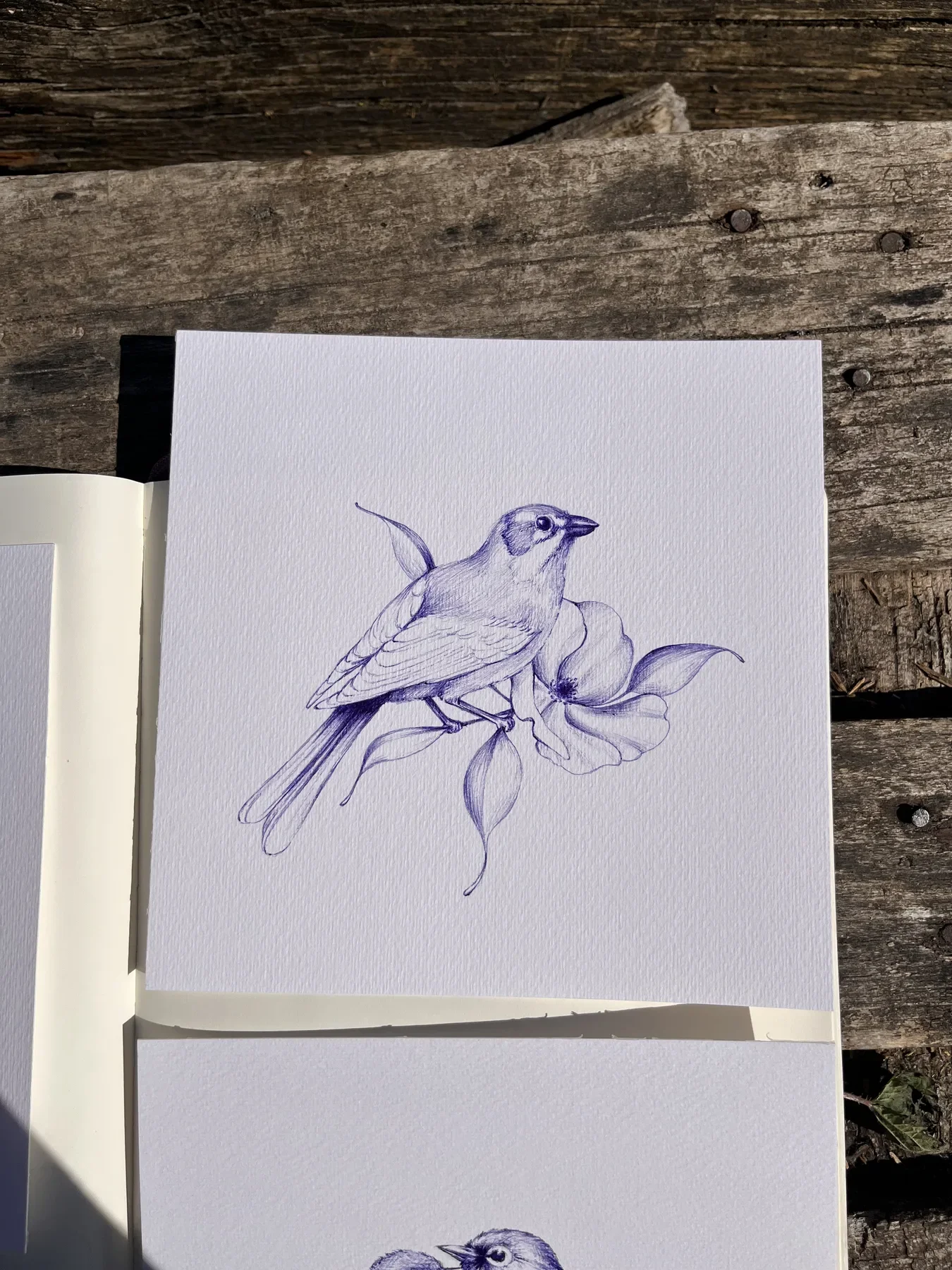 Drawing 19, artwork by Ruby Smythe