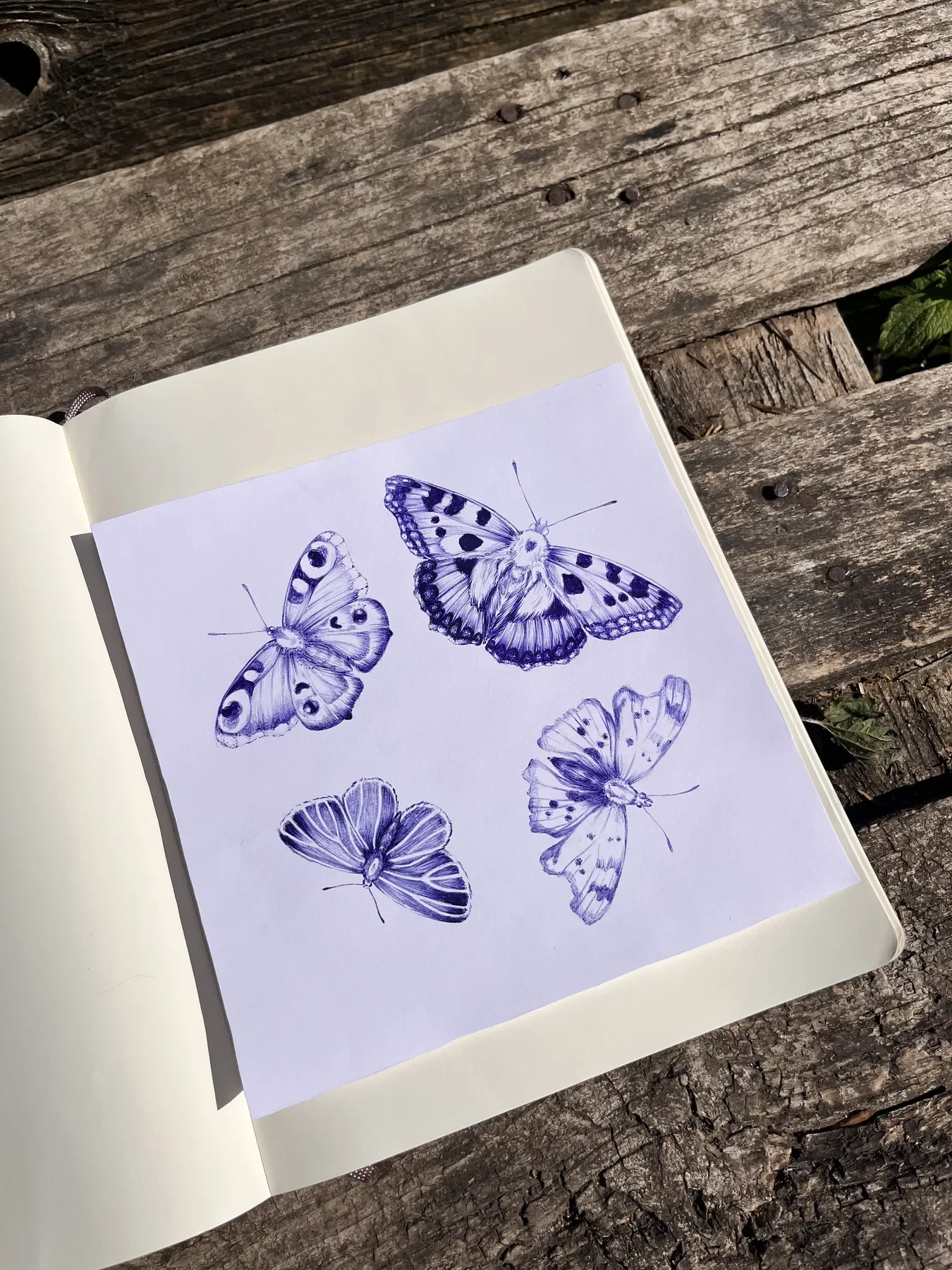 Drawing 21, artwork by Ruby Smythe