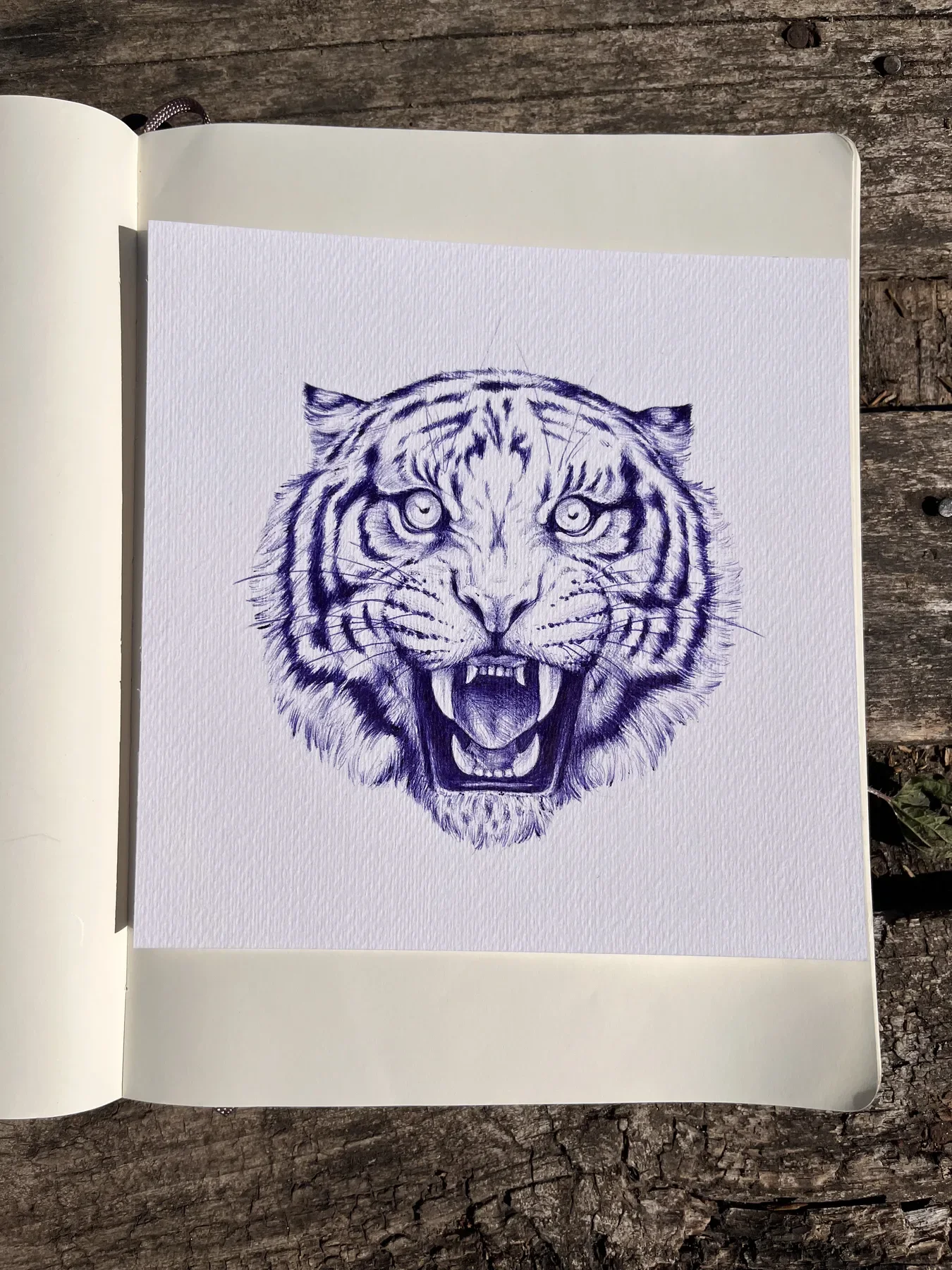 Drawing 24, artwork by Ruby Smythe