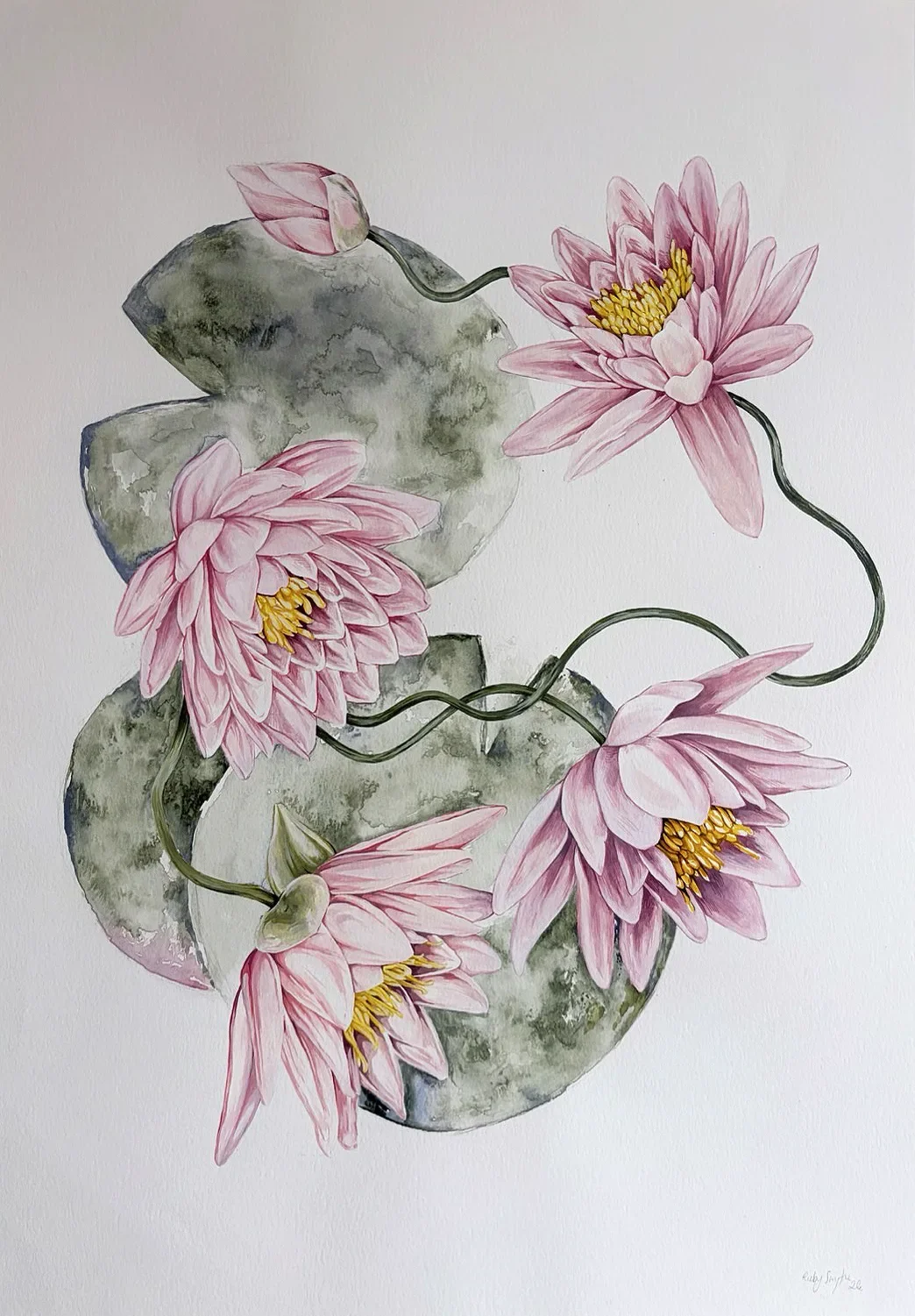 The Waterlilies, artwork by Ruby Smythe