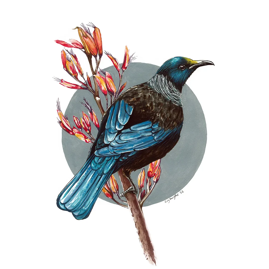 Tūī, artwork by Ruby Smythe