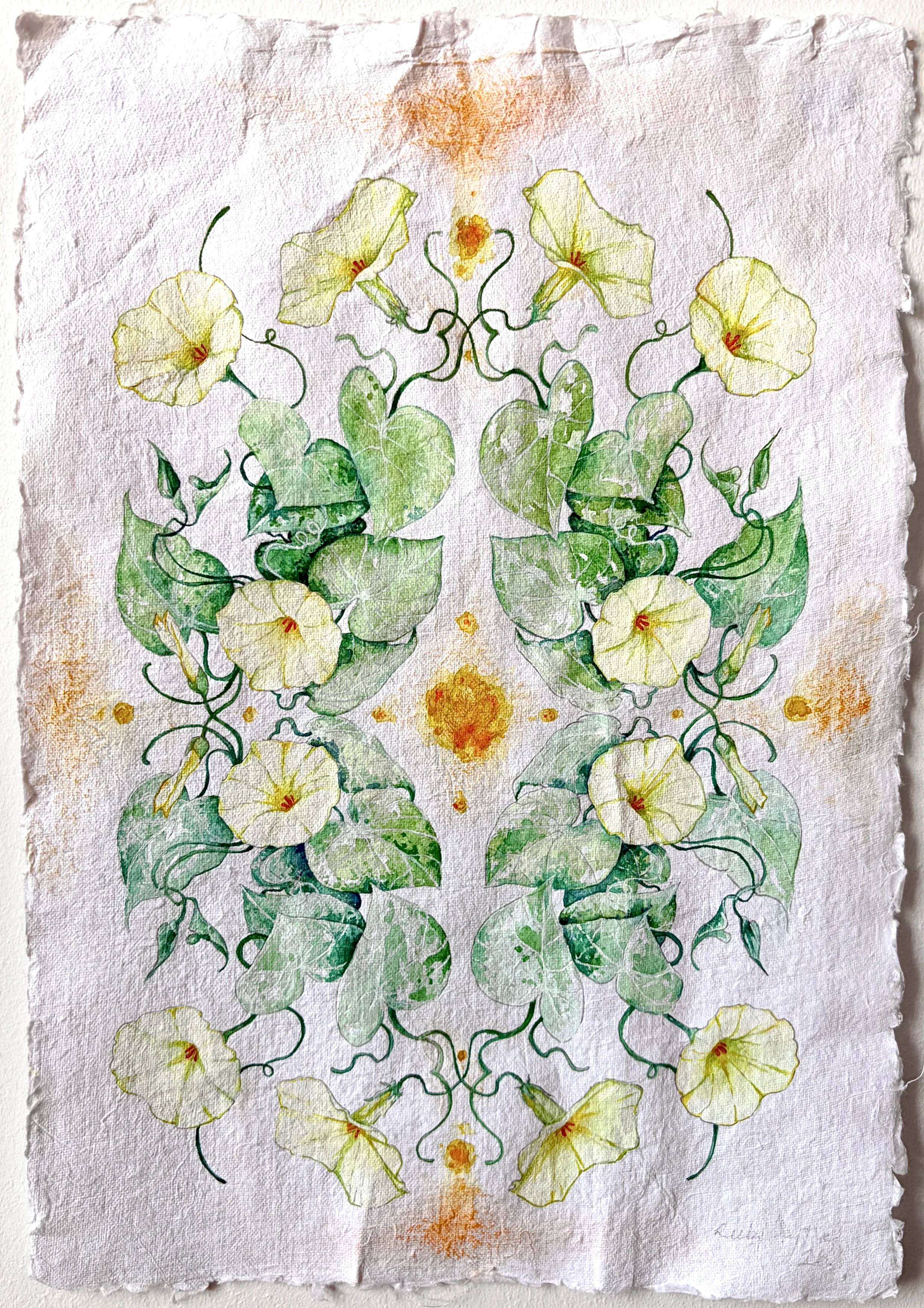 Morning Glory, artwork by Ruby Smythe